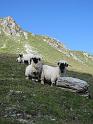 20120724_Cabane_Bec_Bosson-Nax 014